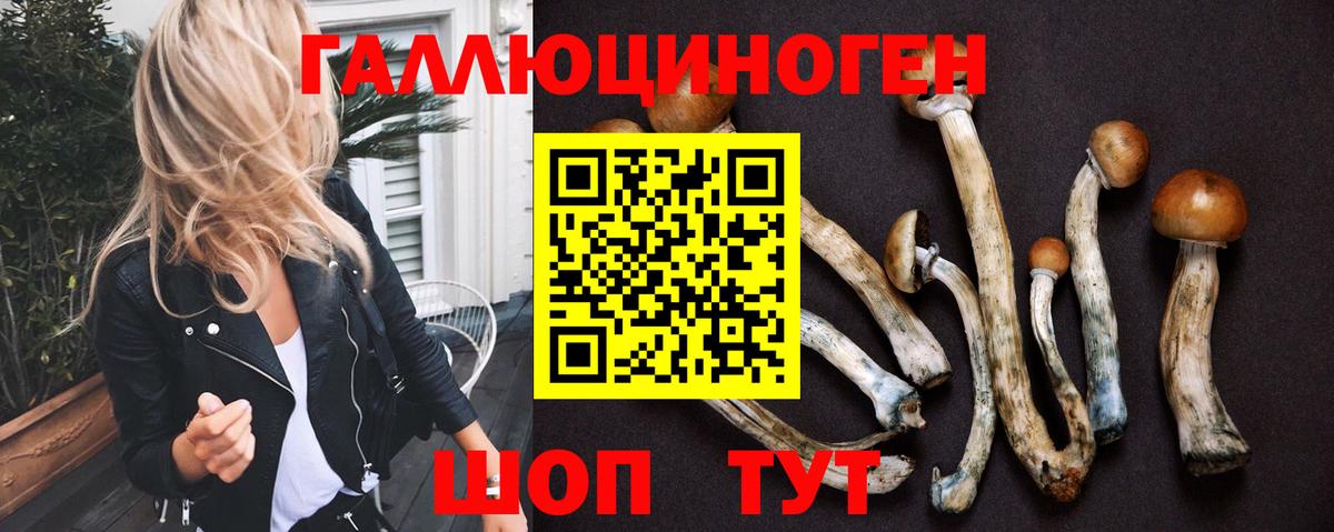Псилоцибиновые грибы мицелий Новоуральск